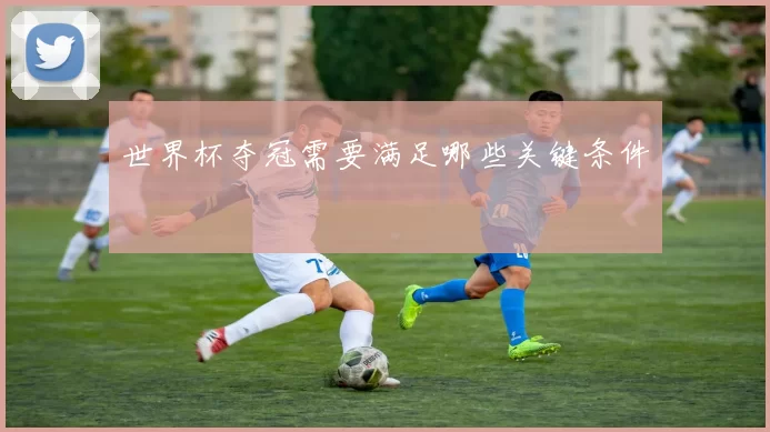 世界杯夺冠需要满足哪些关键条件