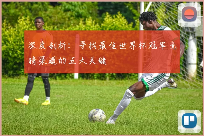 深度剖析：寻找最佳世界杯冠军竞猜渠道的五大关键