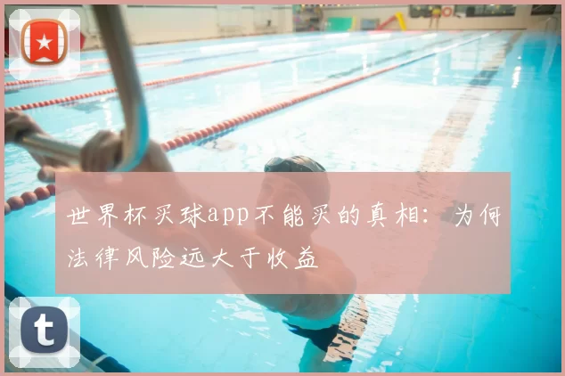 世界杯买球app不能买的真相：为何法律风险远大于收益