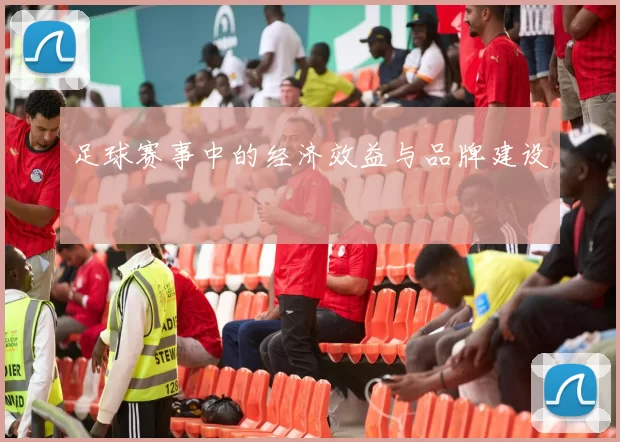 足球赛事中的经济效益与品牌建设