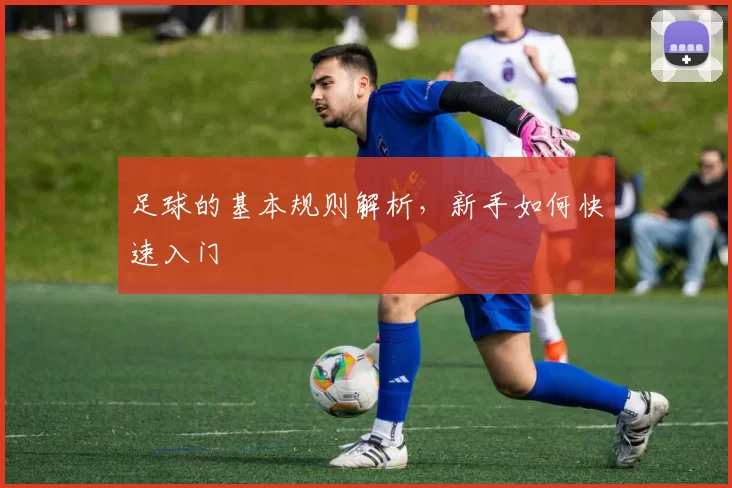 足球的基本规则解析，新手如何快速入门