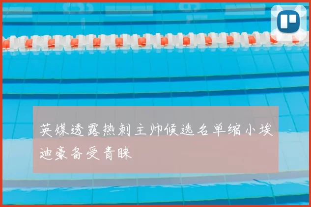 英媒透露热刺主帅候选名单缩小埃迪豪备受青睐