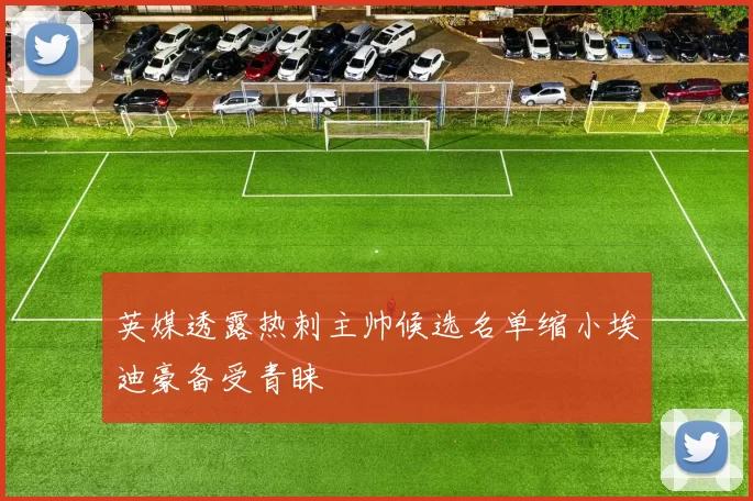 英媒透露热刺主帅候选名单缩小埃迪豪备受青睐