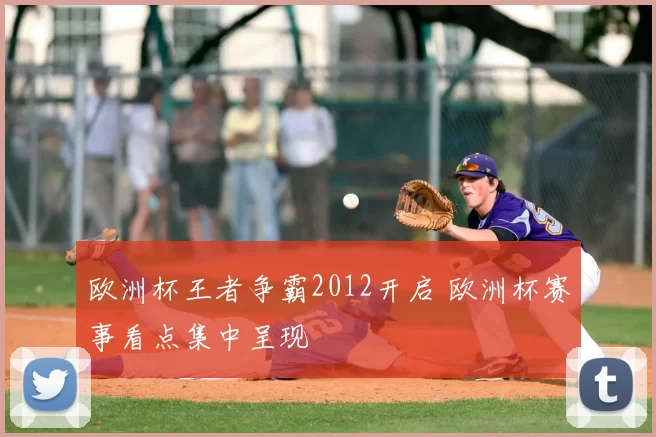 欧洲杯王者争霸2012开启 欧洲杯赛事看点集中呈现