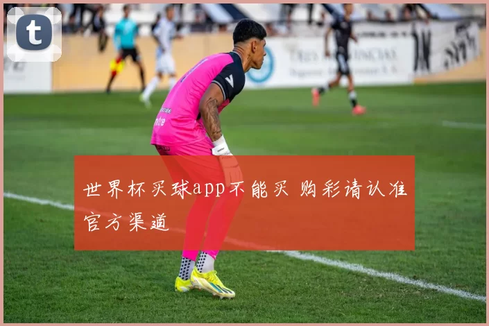 世界杯买球app不能买 购彩请认准官方渠道