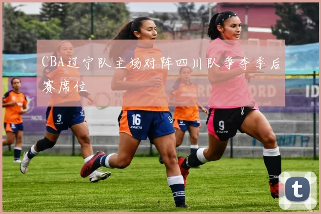 CBA辽宁队主场对阵四川队争夺季后赛席位