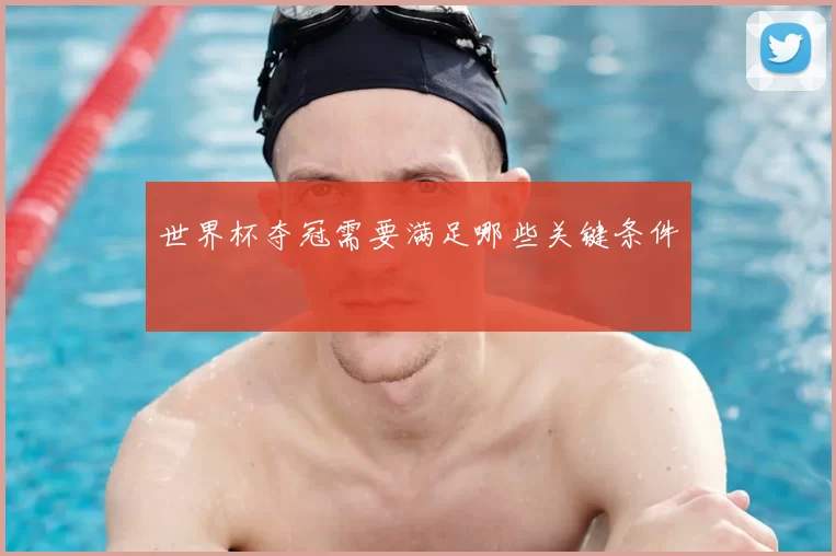 世界杯夺冠需要满足哪些关键条件