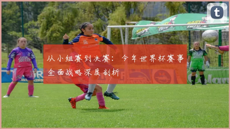从小组赛到决赛:今年世界杯赛事全面战略深度剖析
