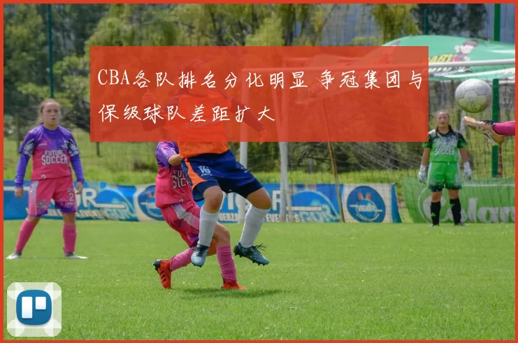 CBA各队排名分化明显 争冠集团与保级球队差距扩大