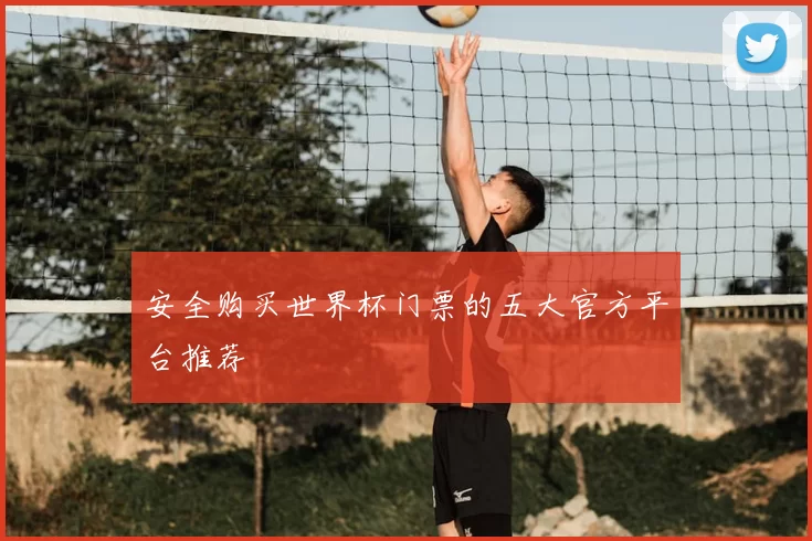安全购买世界杯门票的五大官方平台推荐