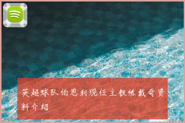 英超球队伯恩利现任主教练戴奇资料介绍