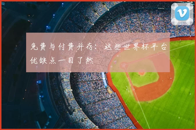 免费与付费并存:这些世界杯平台优缺点一目了然