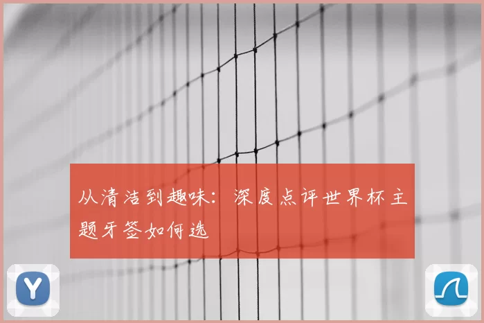 从清洁到趣味:深度点评世界杯主题牙签如何选