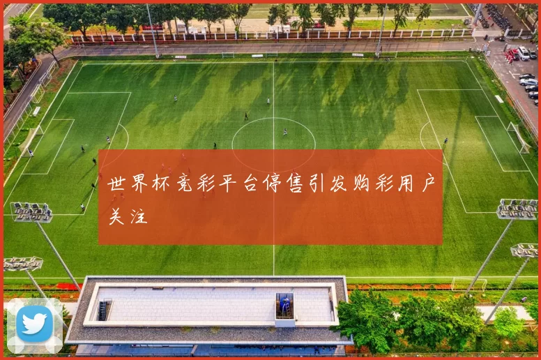 世界杯竞彩平台停售引发购彩用户关注