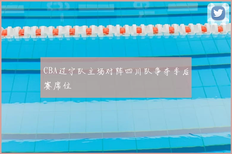 CBA辽宁队主场对阵四川队争夺季后赛席位