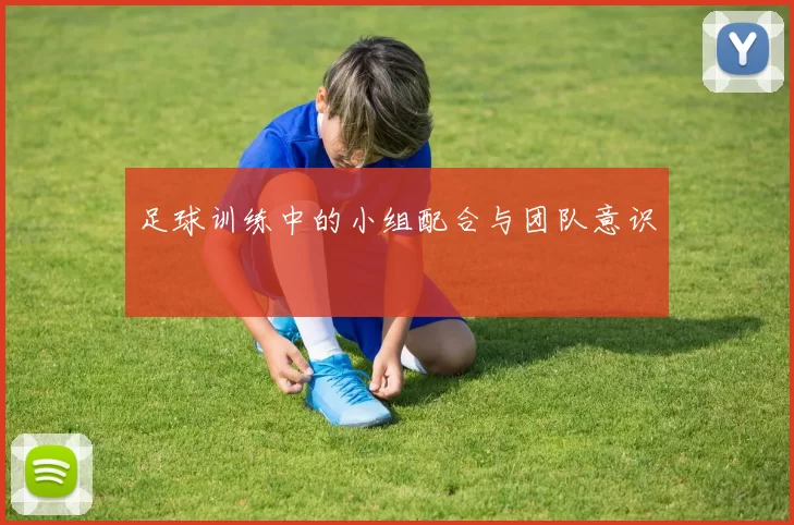 足球训练中的小组配合与团队意识