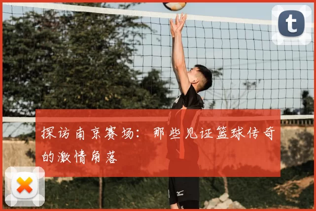 探访南京赛场:那些见证篮球传奇的激情角落
