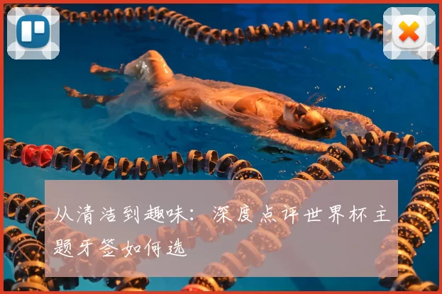 从清洁到趣味:深度点评世界杯主题牙签如何选