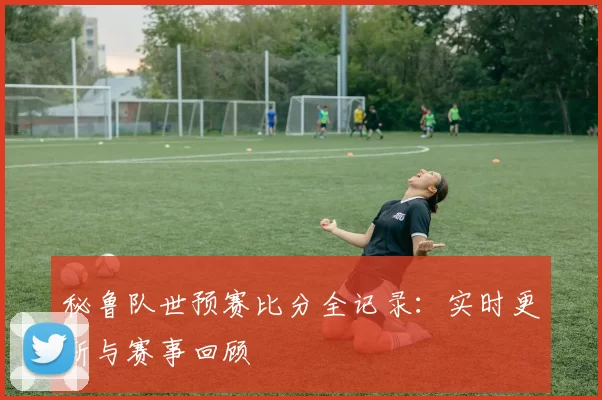 秘鲁队世预赛比分全记录:实时更新与赛事回顾
