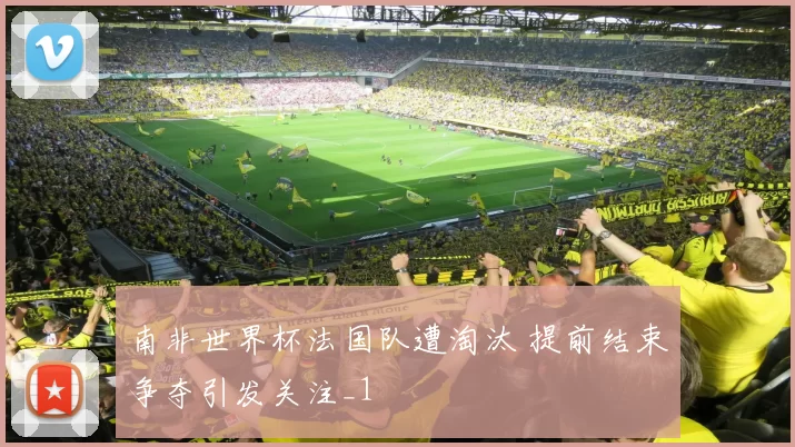 南非世界杯法国队遭淘汰 提前结束争夺引发关注_1