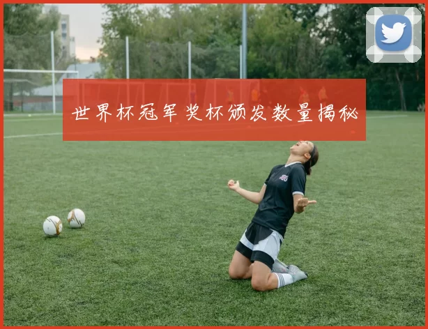 世界杯冠军奖杯颁发数量揭秘