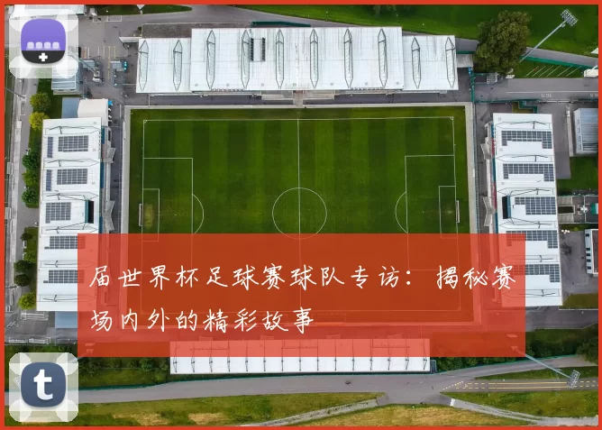 届世界杯足球赛球队专访：揭秘赛场内外的精彩故事