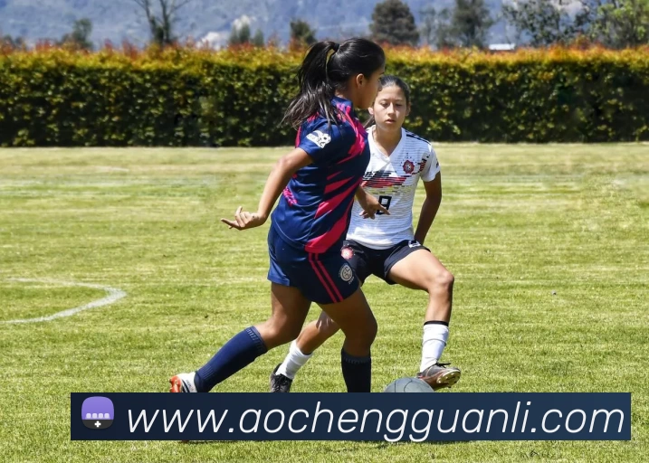 华体官网登录APP 高清赛事图